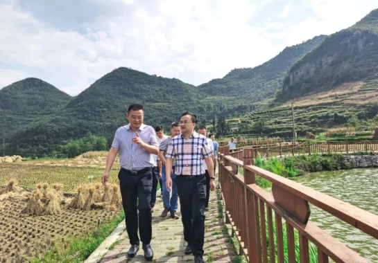 畢節(jié)工業(yè)職業(yè)技術學院黨委書記李涌、院長邱國援率隊到鄉(xiāng)村振興駐村聯(lián)系工作點調(diào)研