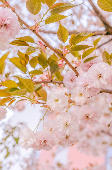 這一陣春風(fēng)，讓工職院學(xué)子為之心動(dòng)